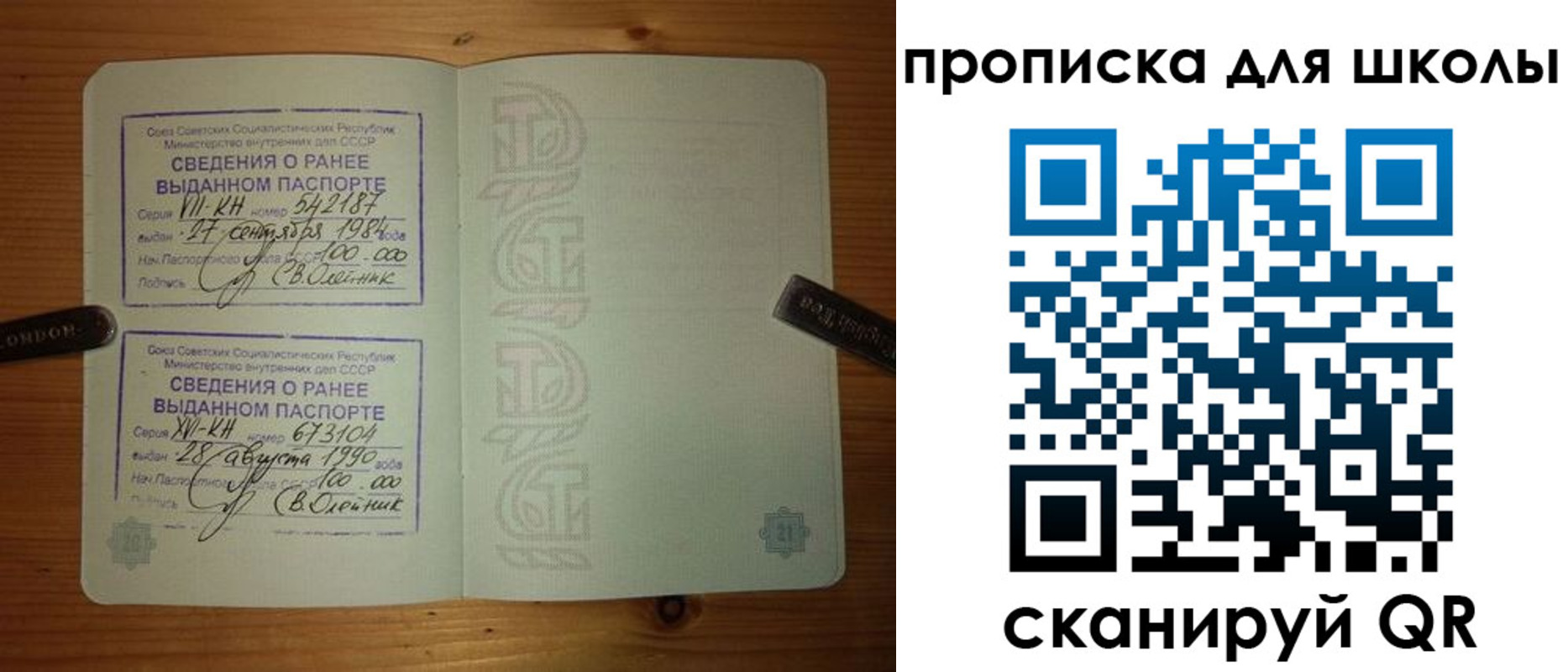 прописка для школы в Геленджике